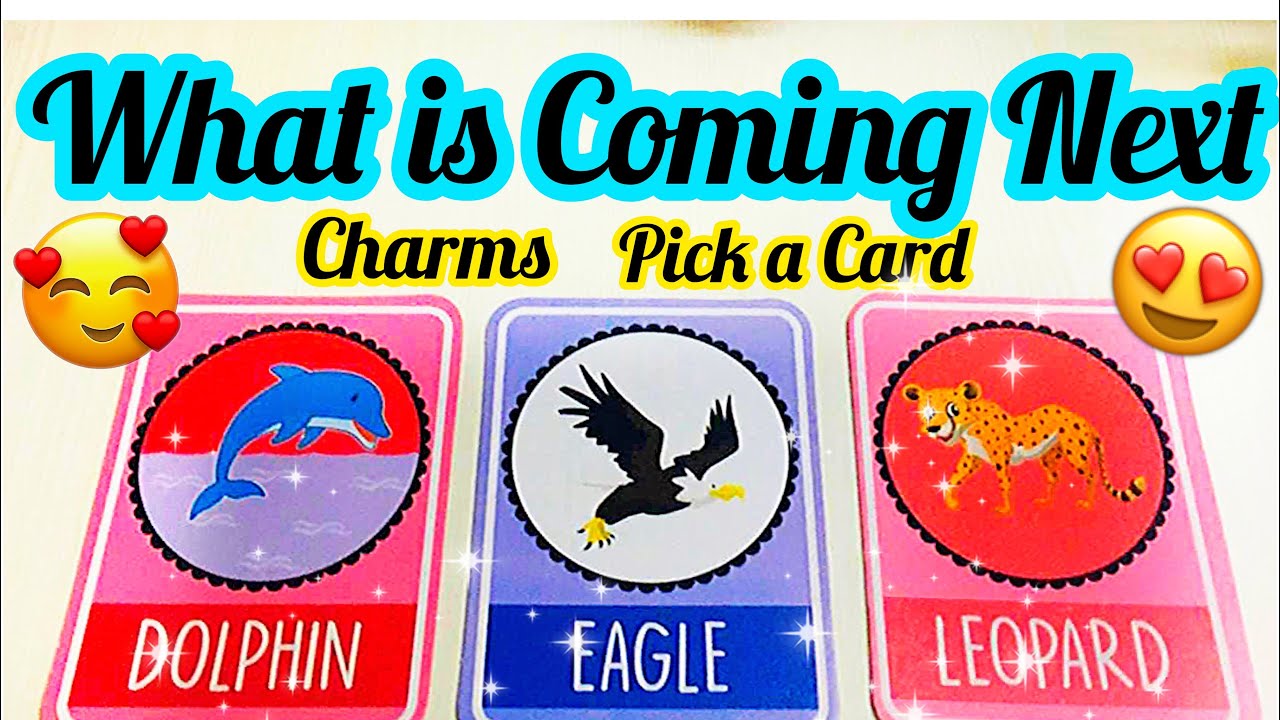 PICK A CARD- CHARMS-WHAT IS COMING NEXT- LOVE WORK- APKE LIYE NEXT KYA HOGA- WEEK TAROT -MWT