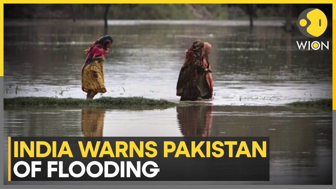 India Alerts Pakistan of Sutlej Flood Threat | Punjab Emerges As Monsoon's Worst Victim | WION
