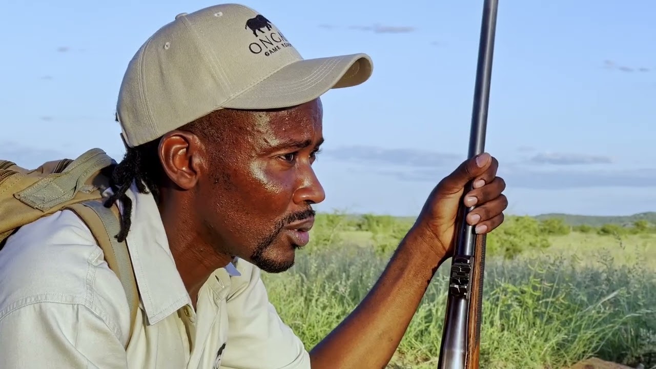 Ongava Game Reserve - Nature First