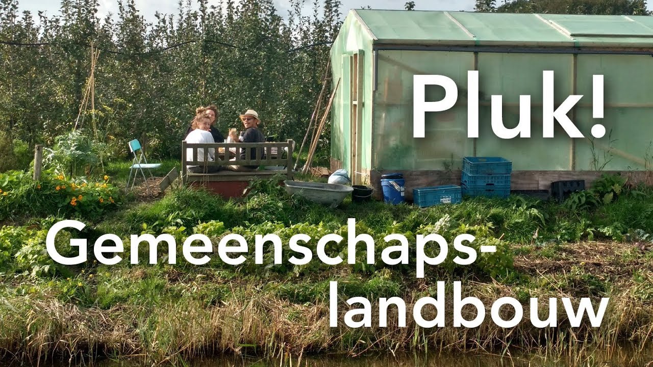 Pluk! CSA Amsterdam