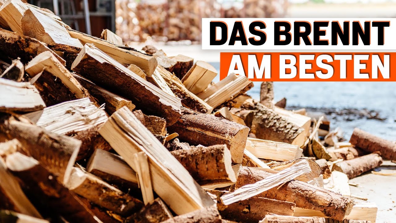 Brennholz: Das sind die besten Holzarten f&uuml;r Ihren Kamin