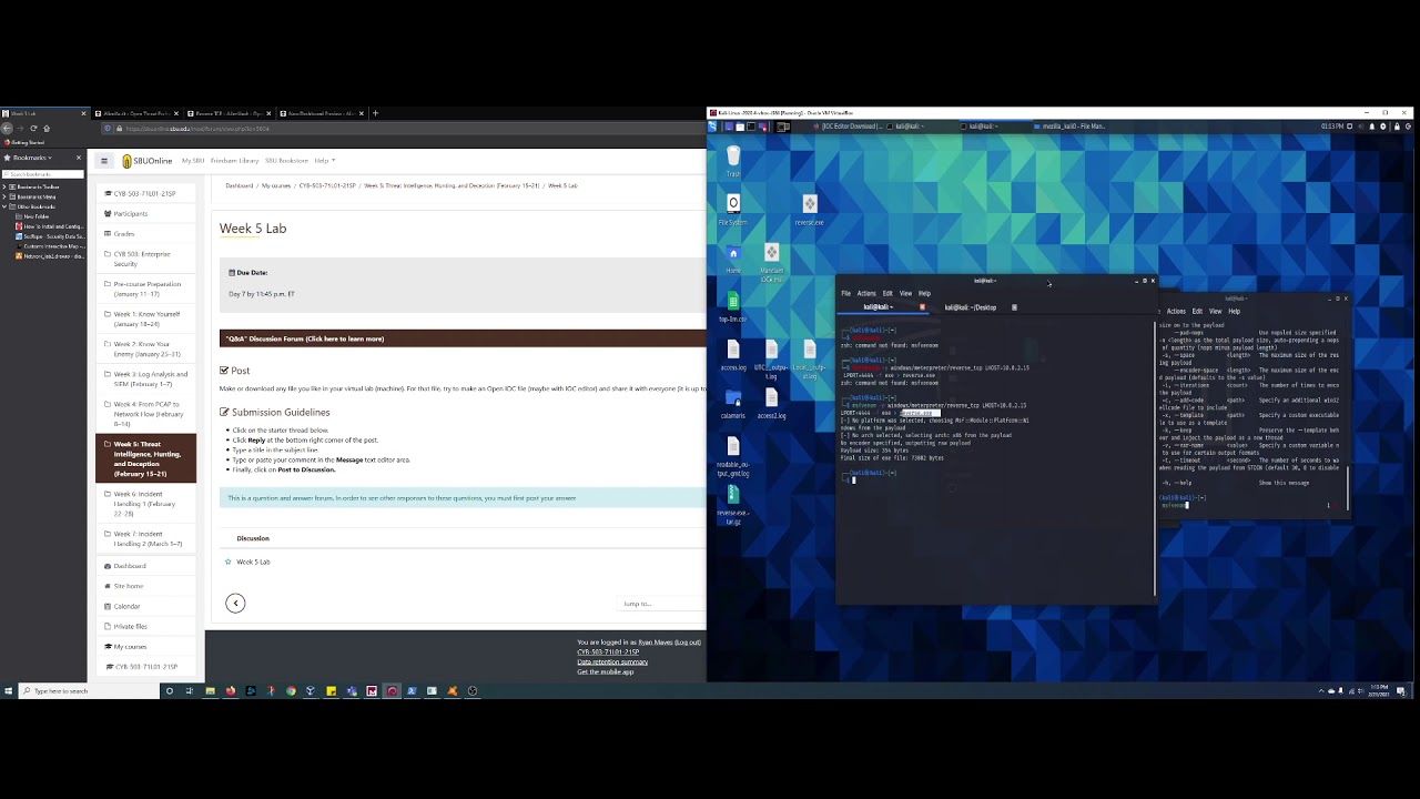 Creating malware and logging that info as an IOC