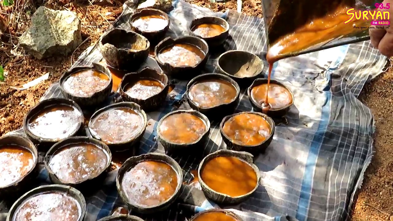 கருப்பட்டி Making | Suryan 360 | Tirunelveli