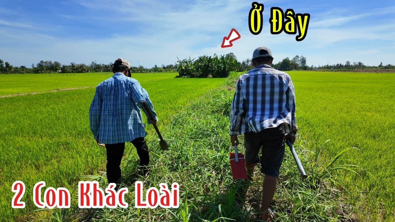 Khu Này Đã Bắt Được Cặp Rắn Cực Đại | Mười Thương Săn Bắt