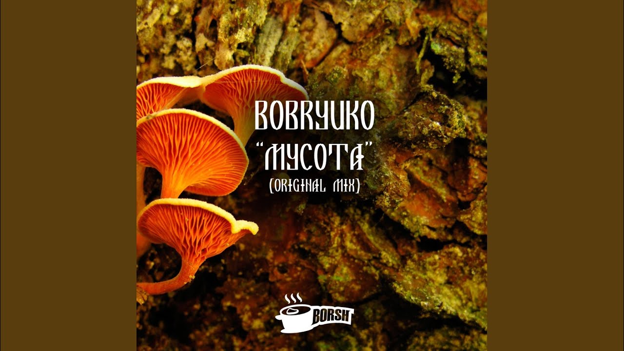 Mycota (Original Mix)