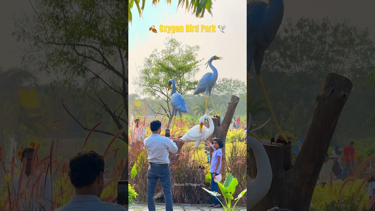 🍂Oxygen Bird Park 🕊