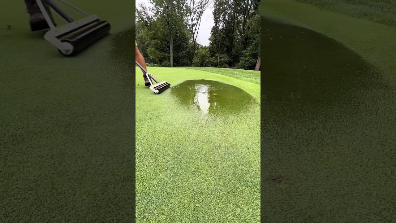 Por que manter um campo de golfe é mais difícil do que parece?
