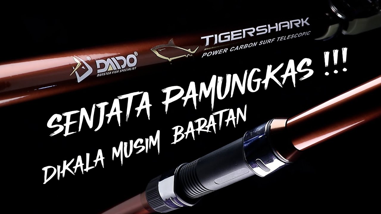 MUSIM BARATAN NIH !!! PEMAEN PINGGIRAN AYO RAPATKAN BARISAN !!! DAIDO TIGER SHARK