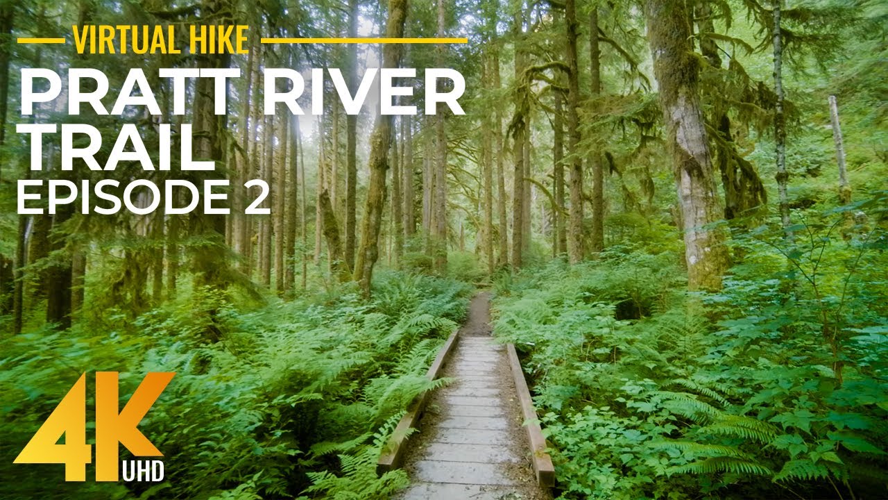 7 HRS Sunny Summer Day Forest Walk - 4K Hike along the Pratt River Trail (Summer, 2022) - Part 2