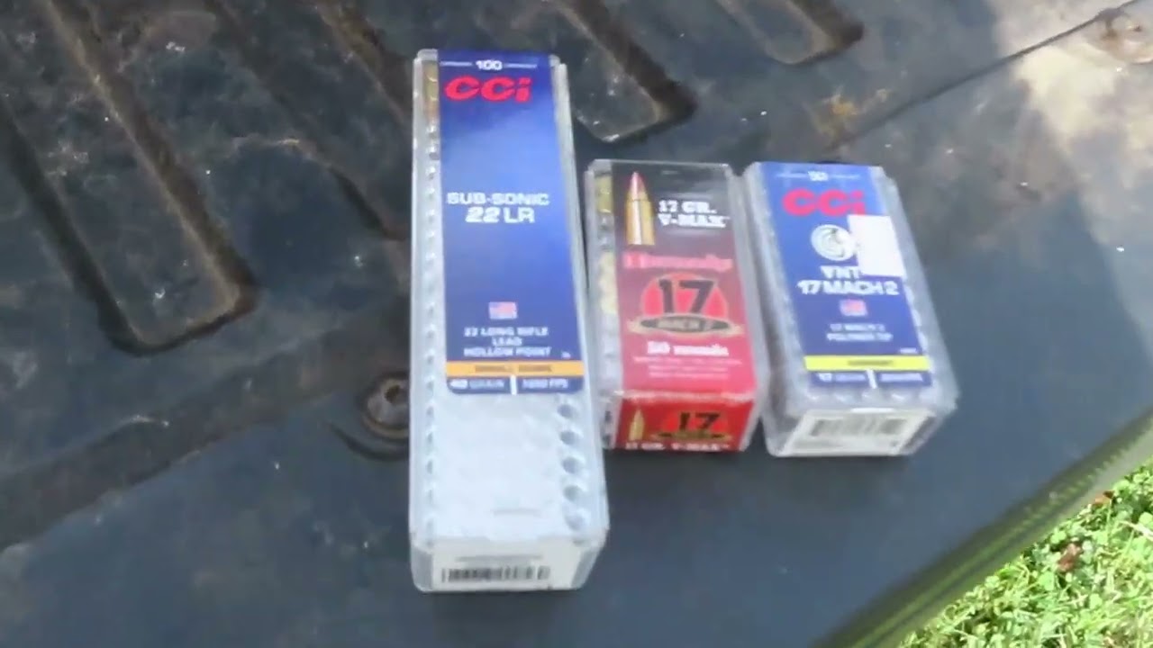 22 LR vs 17 HM2 for squirrels - My Take based on lot of squirrels shot and harvested