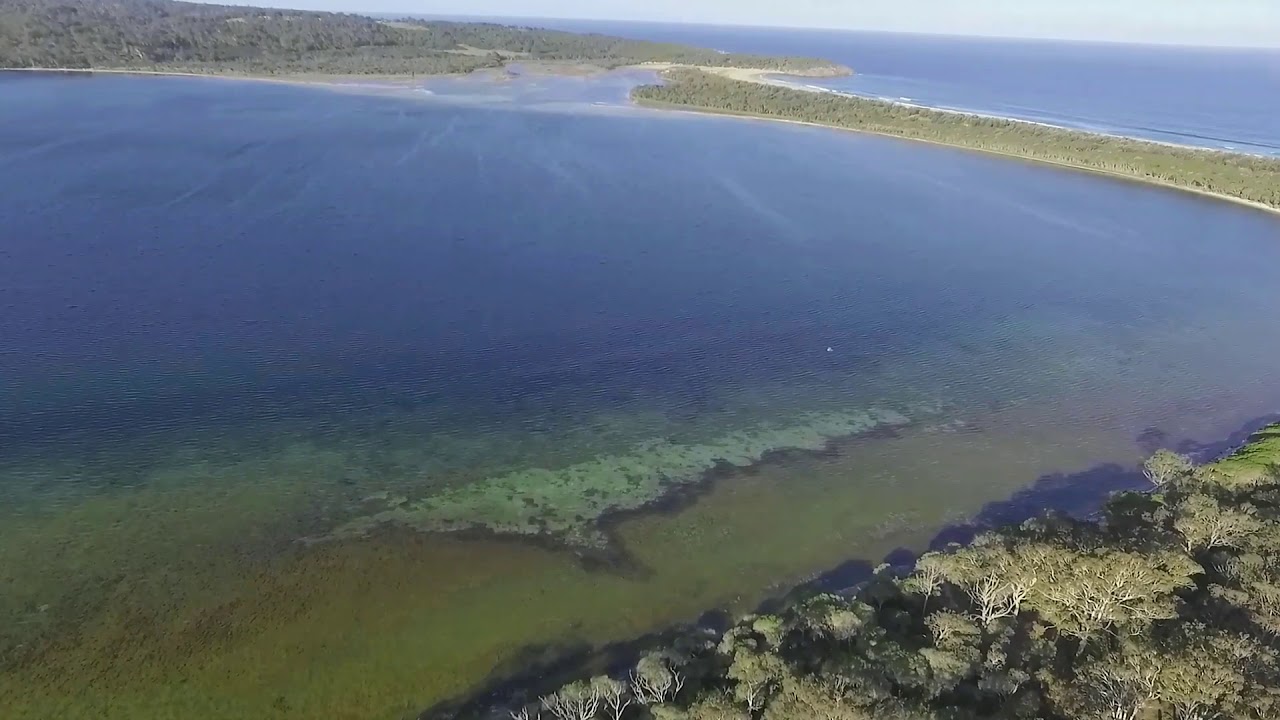 Droning Wallagoot NSW