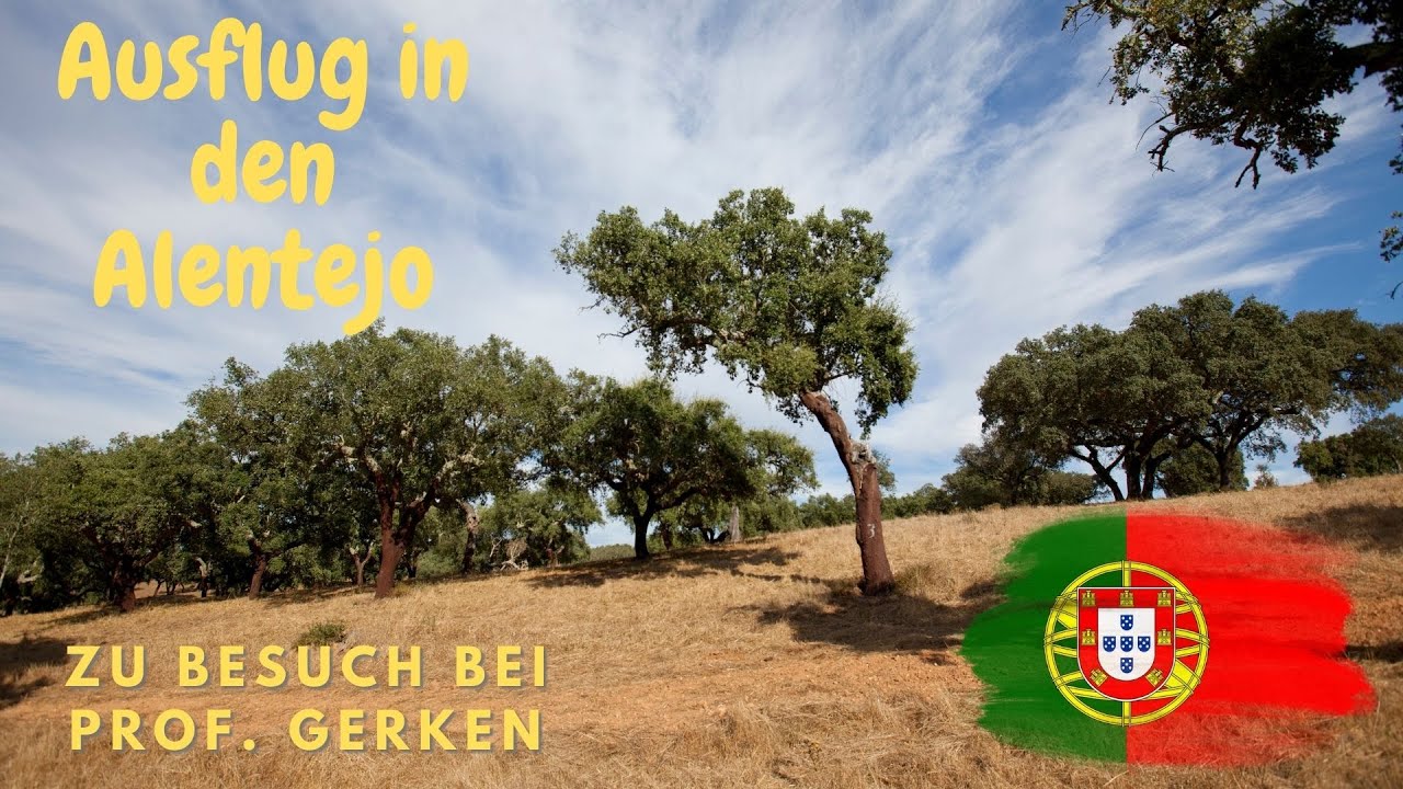 Ausflug in den Alentejo | zu Besuch bei Prof. Bernd Gerken | Pilze sammeln Portugal