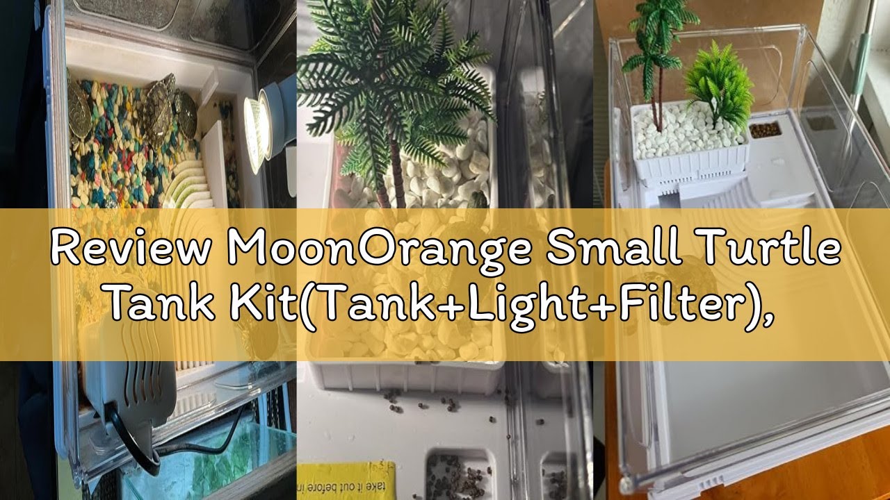 Review MoonOrange Small Turtle Tank Kit(Tank+Light+Filter), Acrylic Turtle Tank Starter Kit with Bas