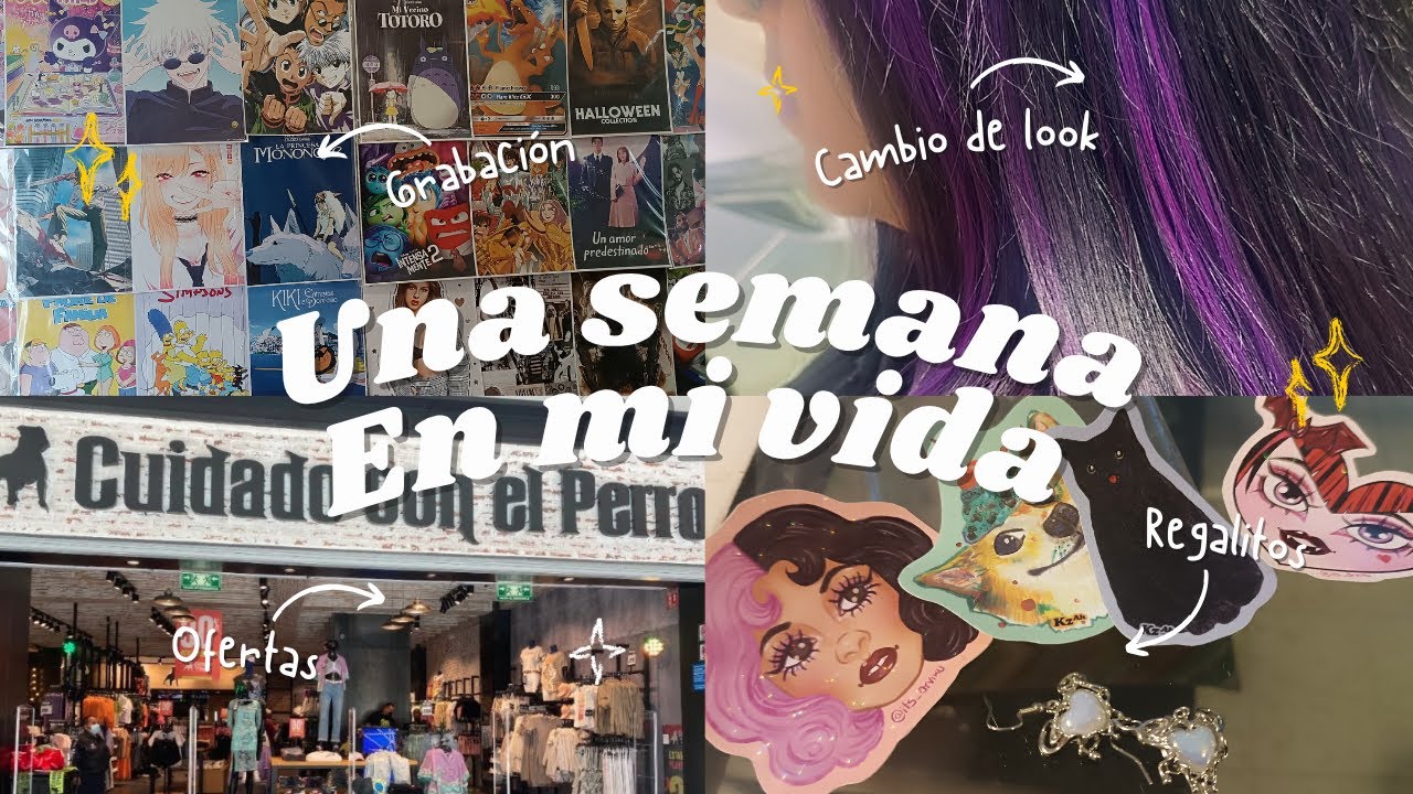 Nos inundamos en nuestro Salón, compras de Cuidado con el perro y más Vlog 37