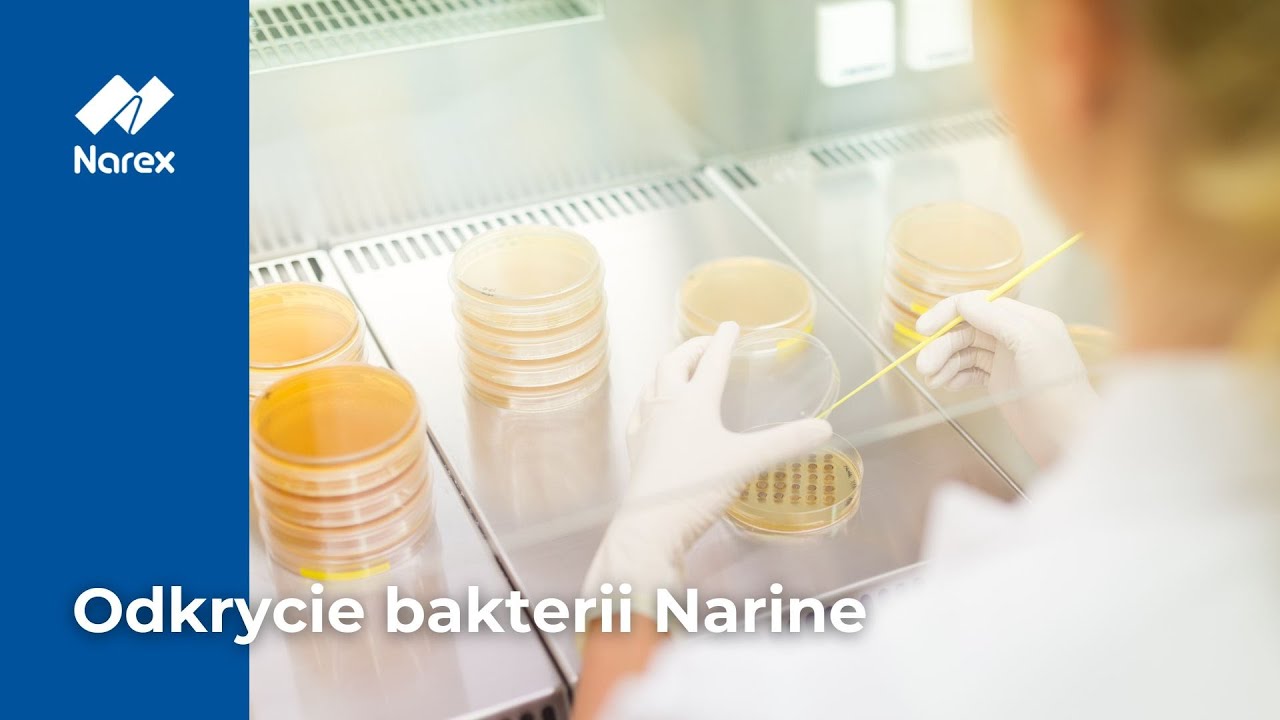 Narine – dar natury • Odkrycie bakterii Narine • Narex
