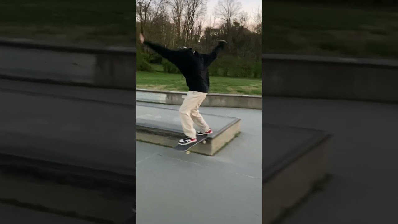 Sketchy back tail 270 