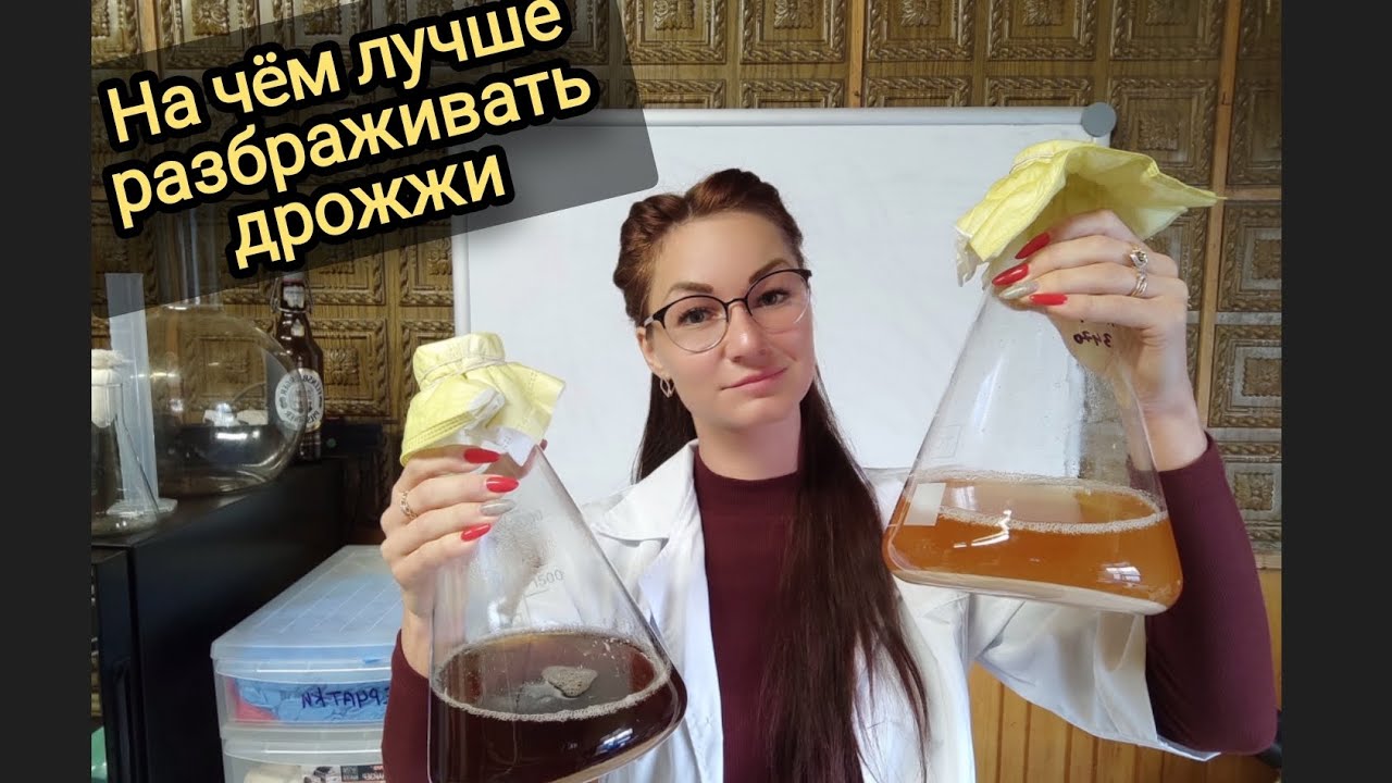 На чëм лучше разбраживать дрожжи.