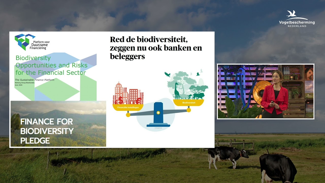 ‘We moeten het anders doen’ | Congres Basiskwaliteit Natuur | Vogelbescherming Nederland