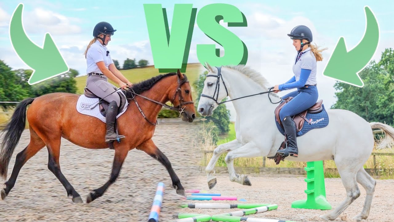 TRAINING MY YOUNGEST HORSE VS MY MOST EXPERIENCED