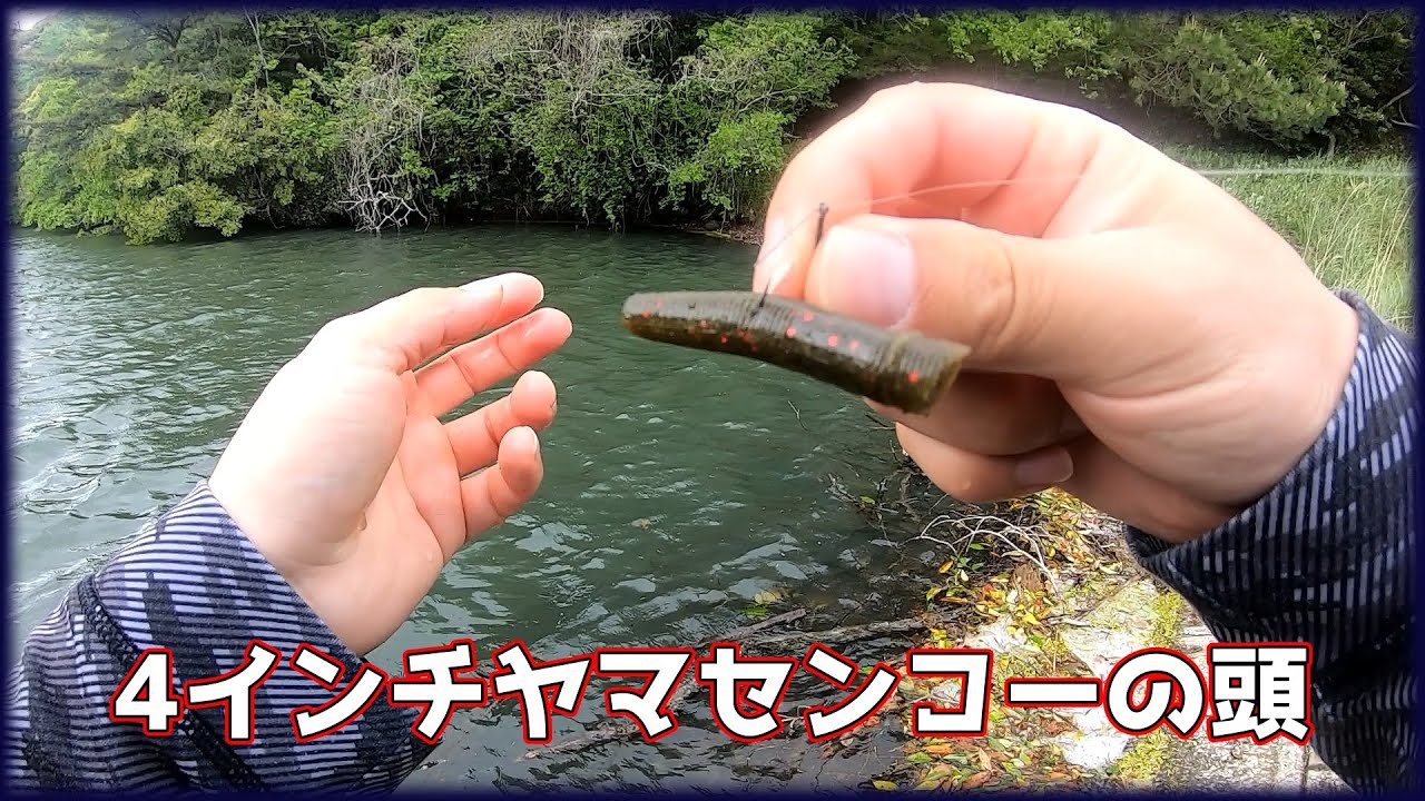 【ゲーリー】こんなんで釣れて良いんですか？良いんです【センコー】