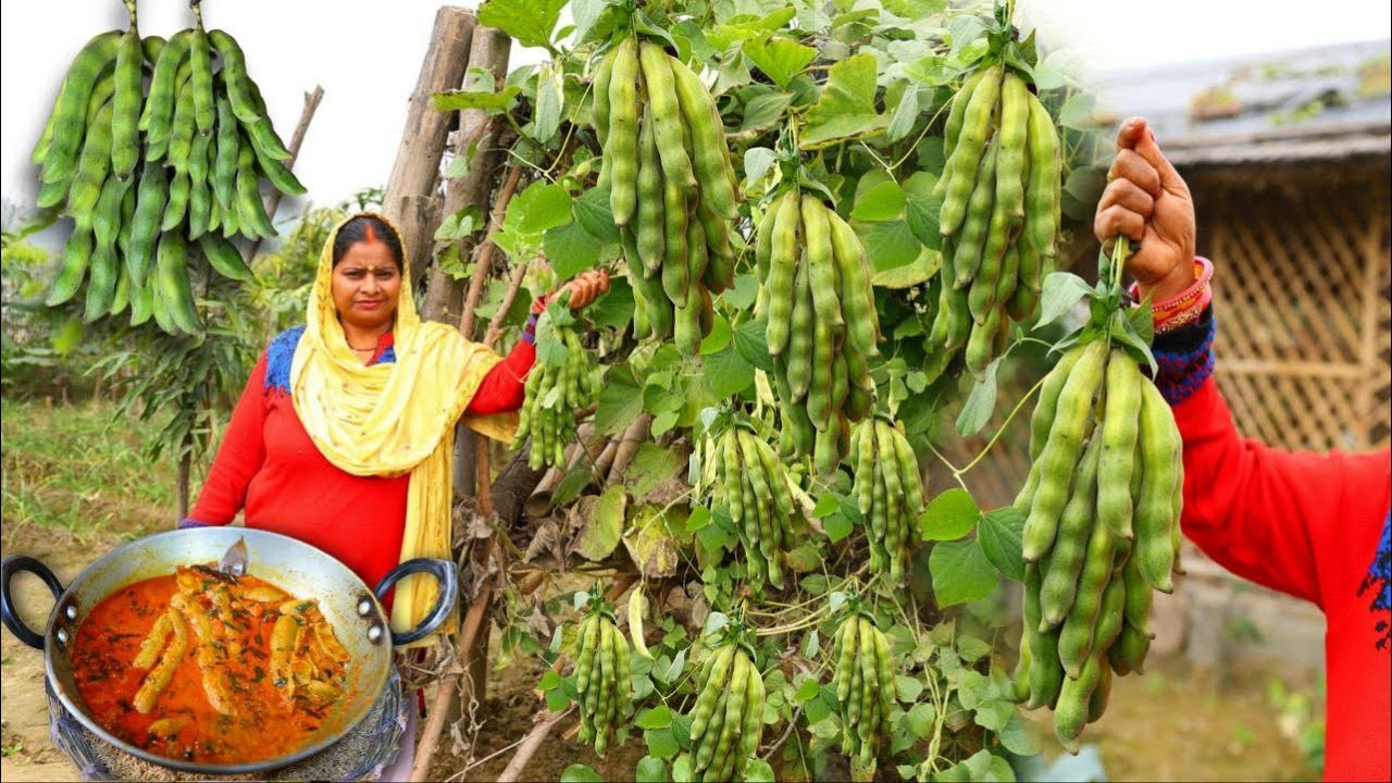 पुराने जमाने के लोग ये खाते थे इसीलिए स्वस्थ रहते थे इतने सालो बाद बनाऊंगी कवच की सब्जी Kaunch Sabji