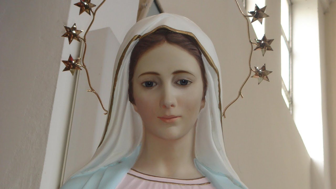 Preghiamo insieme il Santo Rosario meditando i misteri della gloria 📱