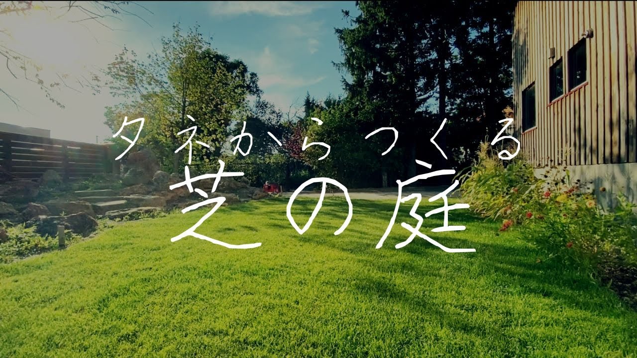 【私の庭づくり#16】タネから芝を育てるファミリーガーデン。【個人庭】【ガーデニング】