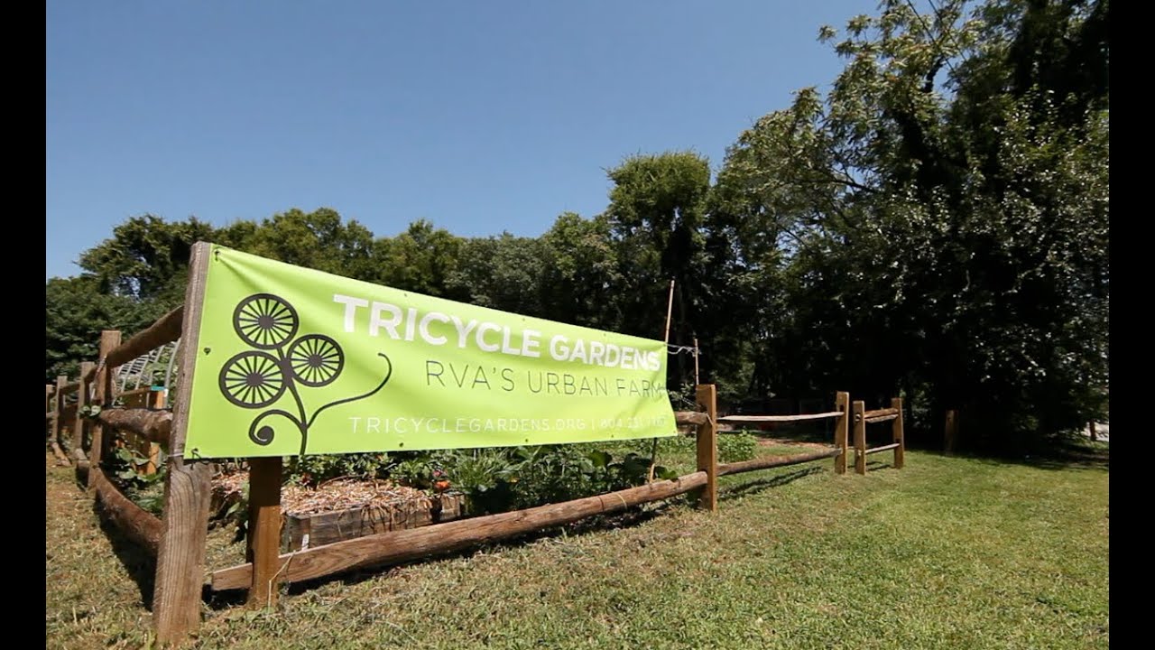 Living In a Food Desert - Tricycle Gardens