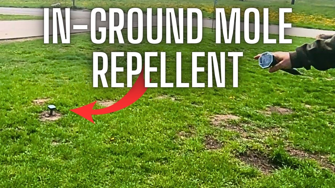 Mole Repellent Solar Powered 8 Pack | Ultrasonic Mole Repeller