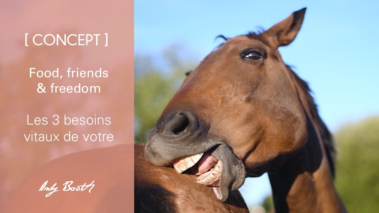 [CONCEPT] Food, friends & freedom : les 3 besoins vitaux du cheval