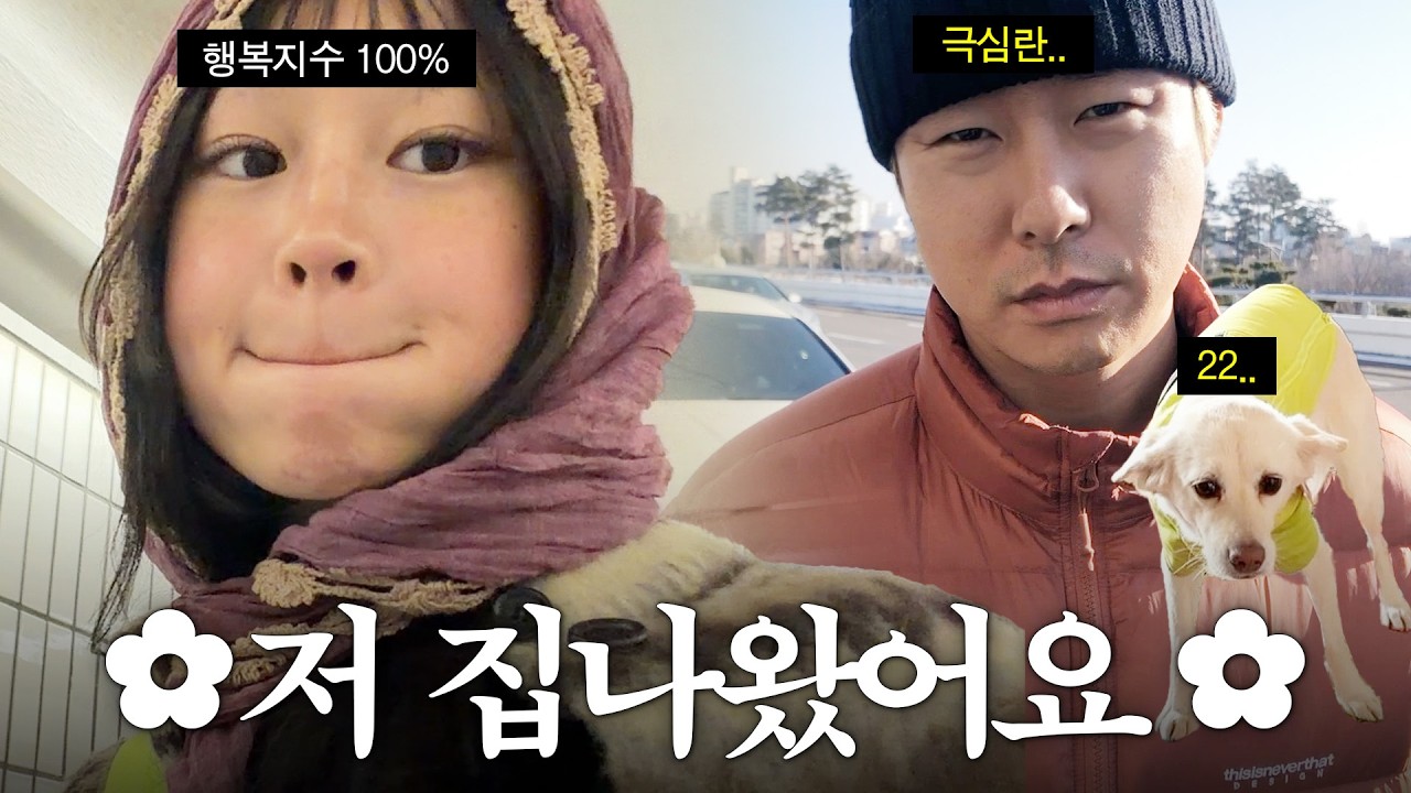 집나가면 개고생이다.. 자유부인 지수의 일주일 브이로그