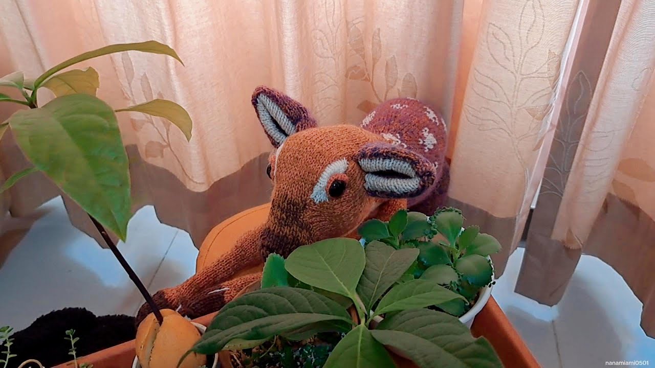 Knitting Vlog | Roe Deer Fawn | 棒針編織小鹿