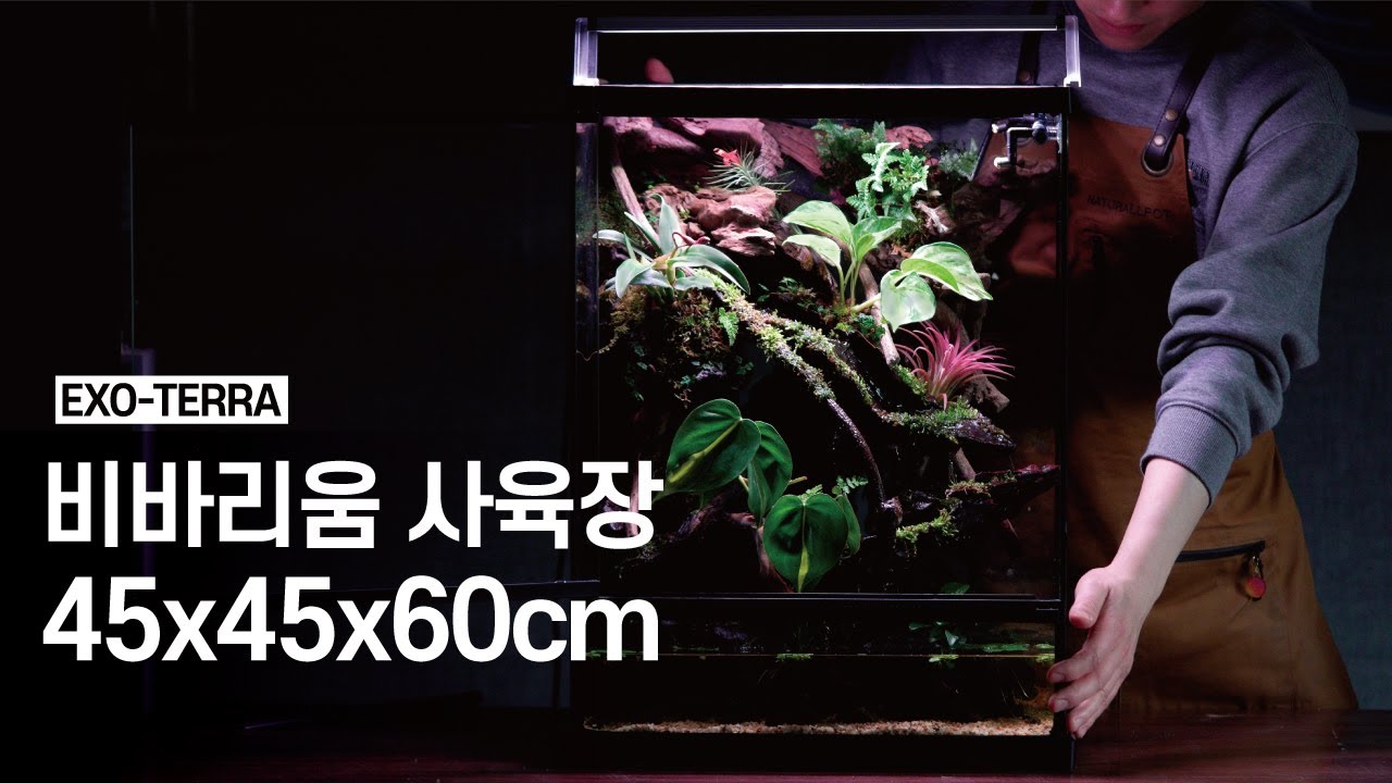 이 안에 정글 있음ㅣ비바리움 주문제작 전과정 공개!