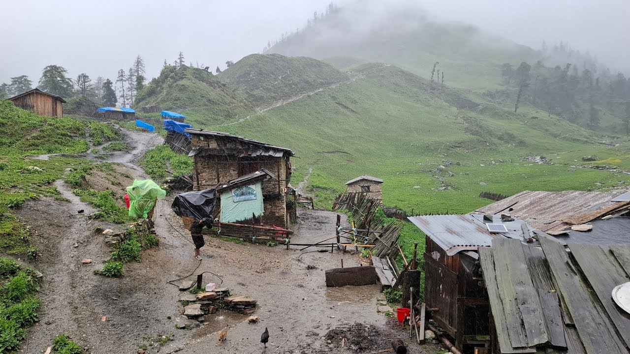 Real Nepali Mountain Village Life in the Rain  | Peaceful Living And  Organic Cooking |
