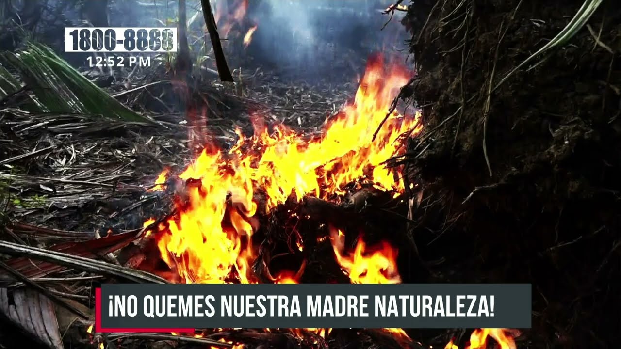 Origen y consecuencias de los incendios forestales en Nicaragua