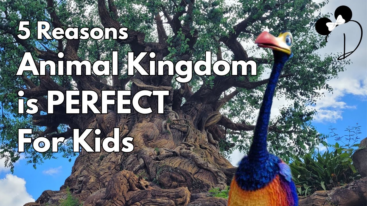 5 Reasons Animal Kingdom is PERFECT for Kids