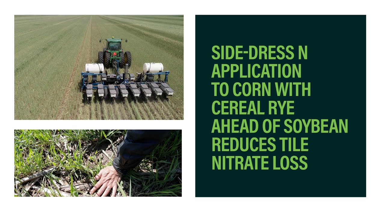 #4 - Side Dress N Application to Corn with Cereal Rye Ahead of Soybean Reduces Tile Nitrate Loss