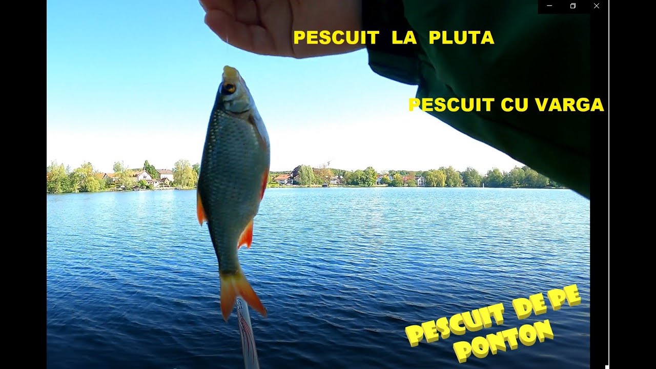 Pescuit cu varga de  7 metri