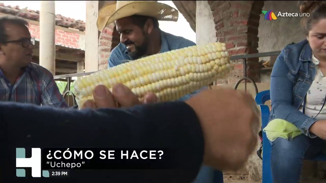 &iquest;C&oacute;mo se hacen los 