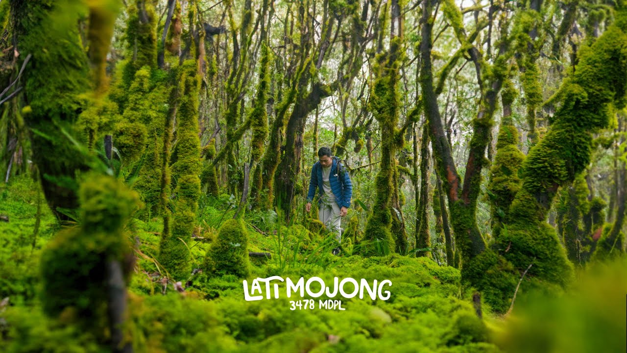 Gunung Latimojong Via Karangan | Menggapai Atap Sulawesi!