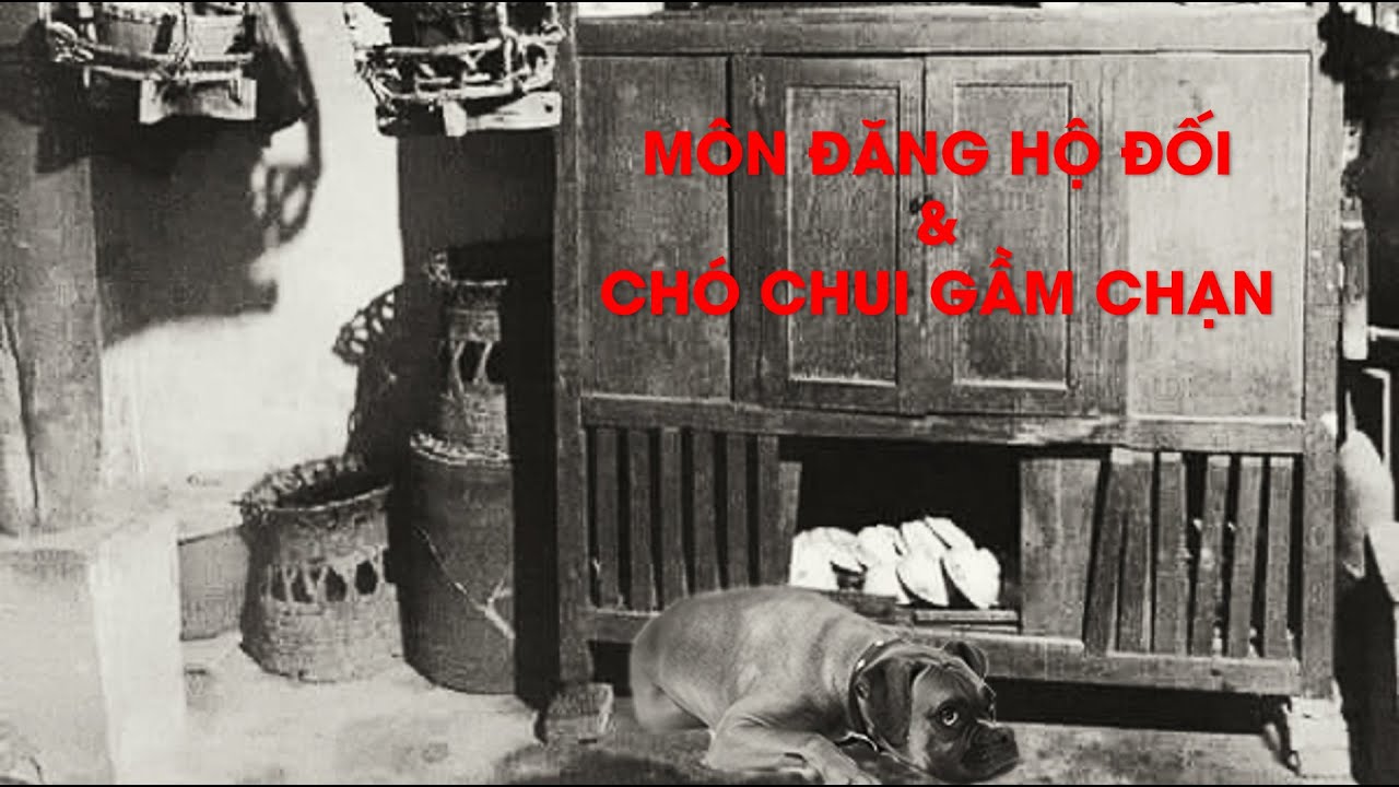 Môn đăng hộ đối và Chó chui gầm chạn