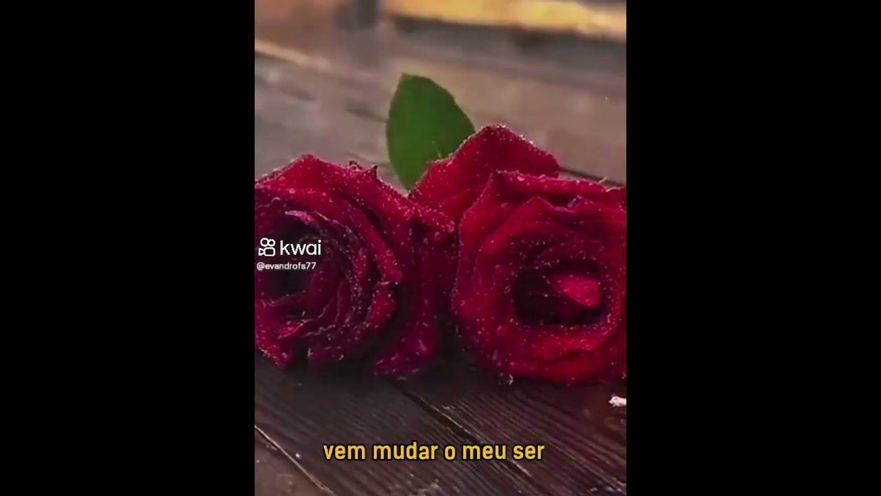 13 de fevereiro de 2026