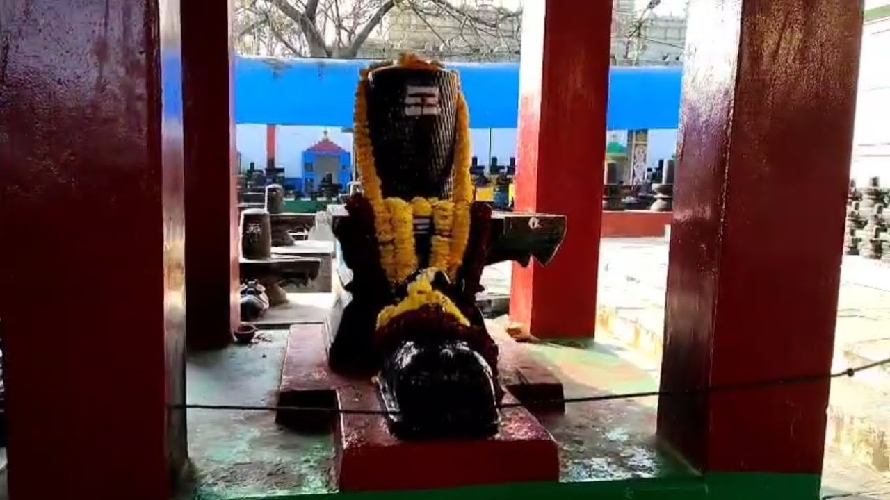 🔱అద్భుత మైనా శైవక్షేత్రం🙏కోటిలింగాల మహాపుణ్యక్షేత్రం🔱🔥#youtubevideo#devotional video#omnamahshivaya 