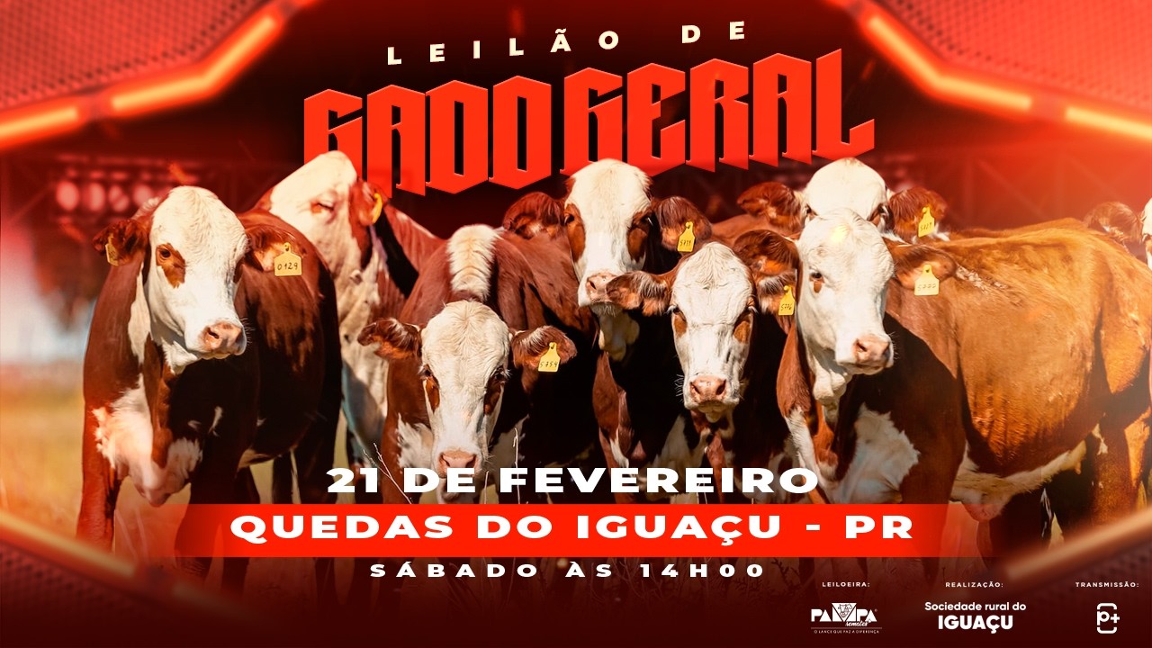 Leilão de Gado Geral, QUEDAS DO IGUAÇU/PR - 21/02/2026 14:00h