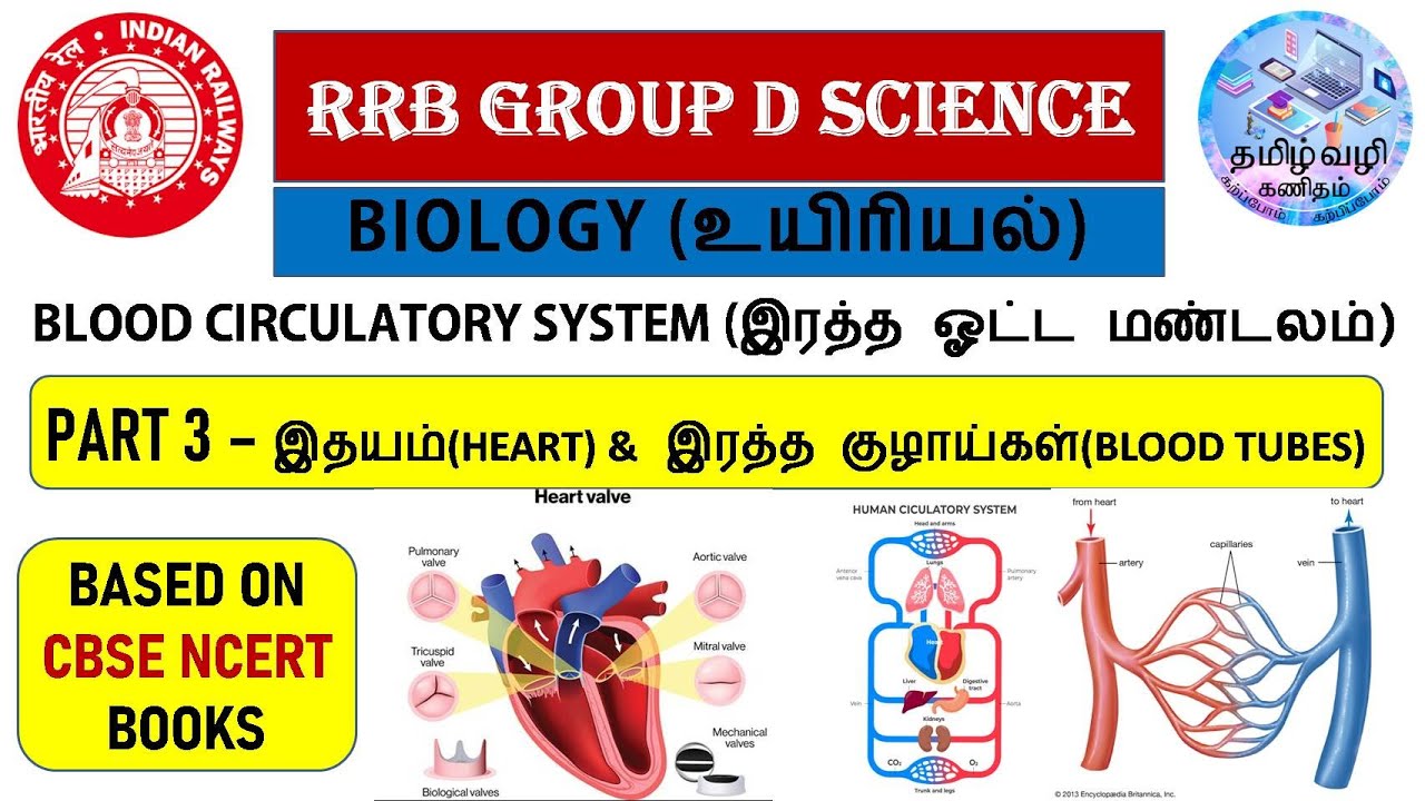 இதயம்(HEART) & இரத்த குழாய்கள்(BLOOD TUBES)/PART 3 BIOLOGY/RRB GROUP D & NTPC & SSC SCIENCE IN TAMIL