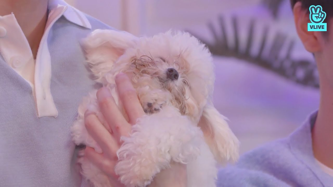 영훈이 좋아