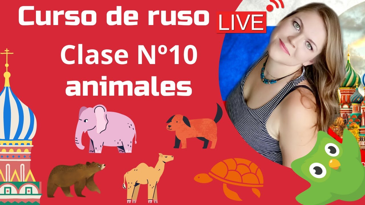 LIVE:  Curso de ruso en Duolingo | Clase Nº10  ANIMALES