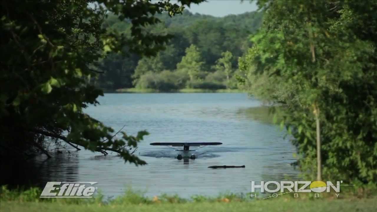 Carbon-Z® Cub BNF Basic and PNP by E-flite
