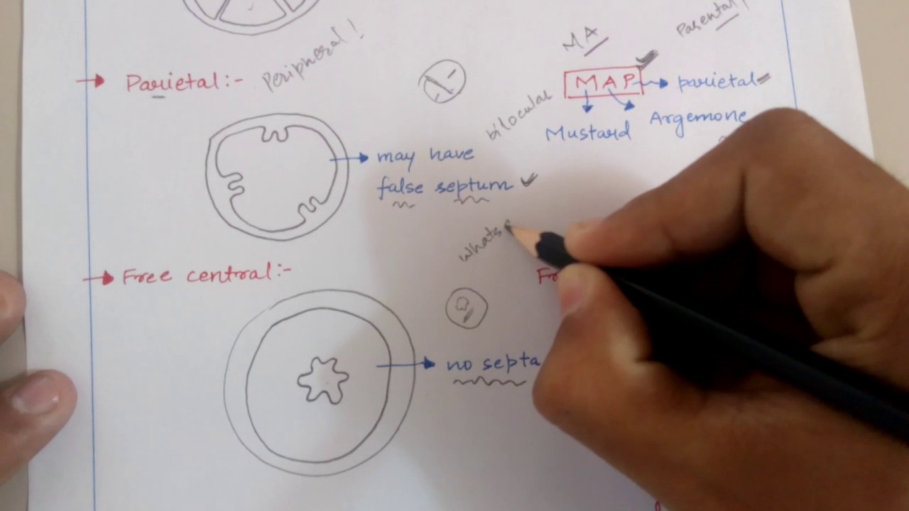 Trick for placentation in flowers( plant morphology) for NEET ,AIIMS ,JIPMER ,KVPY etc. Exams .
