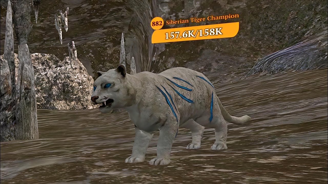 The Wolf - Level 800+ Siberian Tiger Champion 🏆